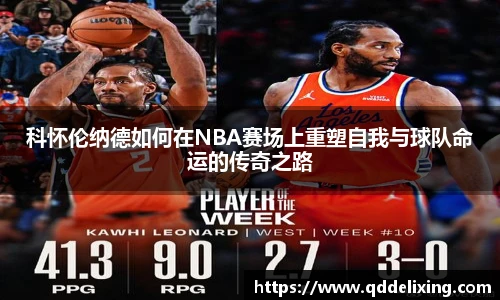 Top1体育新版本